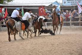 Ücretsiz izne çıkarılan vatandaşlara maaş desteği hazine ve maliye bakanı albayrak, kısa çalışma ödeneğinden yararlanamayan ya da bedava izne çıkarılan vatandaşlarımıza 3 ay, aylık 1170 lira maaş desteği sağlanacak. dedi. Gokboru Nedir Gokboru Ne Demek Gokboru Oyunu Gezivuz Gezi Rehberi Sitesi