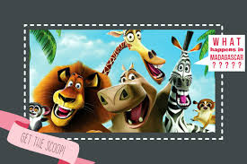 It's skipper, kowalski, rico and private! What Is Madagascar About