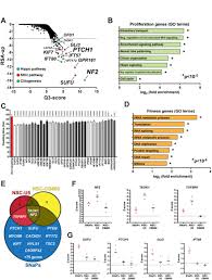 See who's singing kisah cinta (ost shh.i love you). Genome Wide Screens In Accelerated Human Stem Cell Derived Neural Progenitor Cells Identify Zika Virus Host Factors And Drivers Of Proliferation Biorxiv