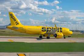 Image result for Natural Yellow 2000 Fleet