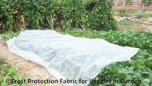 Agfabric Lightweight Frost Cloth Garden Fabric And Plant Cover With Good Light Transmission And Good Air Perm Frost Protection For Plants Plant Covers Garden