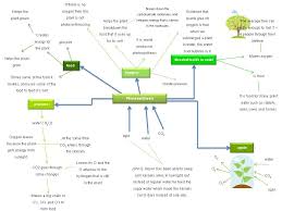 33 A Flowchart Of Photosynthesis