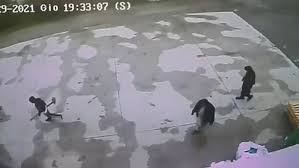 Learn about her via wikipedia. Video Cctv Of Men Suspected To Be Linked To Saman Abbas Disappearance Daily Mail Online