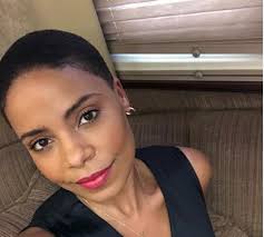It's Crazy Thick, Healthy and Beautiful!!': Sanaa Lathan Shows Off Natural  Long Hair Three Years After Shaving her Head