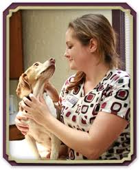 Visit sooner veterinary hospital in norman, oklahoma! Contact Park Lane Veterinary Hospital Norman Ok Veterinary Hospital