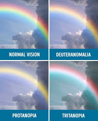 Only People With Perfect Color Vision Can Read These Words Color Vision Color Blind Color Vision Deficiency