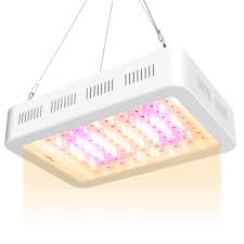 Boasting raving reviews is a shining example of this panels' reputation for excellence. Gtmar 1000w Led Grow Light Double Switch Full Spectrum Led Grow Light For Indoor Plants Veg And Flower Buy Online In Antigua And Barbuda At Antigua Desertcart Com Productid 109868590