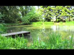 Live Stream Aus Unserer Billard Akademie Bad Saulgau Franz Regine Frauenhoffer Stiftung Youtube