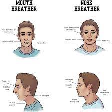 Sir Barefoot On Twitter: "Best Thing To Do For Your Health Today Is: Start  Breathing Correctly. - Become Aware Of Your Breath, Make Sure You Are  Always Nasal Breathing Also When Performing