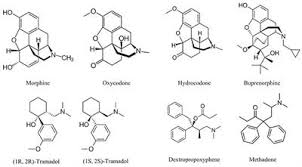 I took a 20mg xr adderall thursday. Frontiers Postmortem Toxicology Of New Synthetic Opioids Pharmacology
