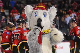 Find your adidas calgary flames at adidas.ca. Harvey The Hound Harvey The Hound Photos Zimbio