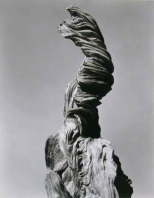 Work by Edward Weston