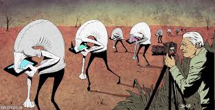 Resultado de imagem para cartoons de Steve Cutts