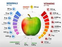 Vitamins And Minerals Essential Vitamins And Minerals List And Functions Pdf Types Of Vitamins And Mine Vitamins And Minerals Nutrients In Apple Vitamins