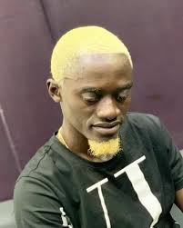 WellMax Micro-Credit & WellMax Inclusive Insurance