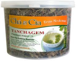 Resultado de imagem para tanchagem planta