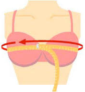 bra fitting how to measure bra size