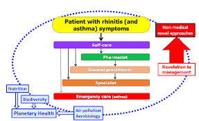 Cockroaches cause allergic reactions in people who live. Keep The Cat Change The Care Pathway A Transformational Approach To Managing Fel D 1 The Major Cat Allergen Satyaraj 2019 Allergy Wiley Online Library