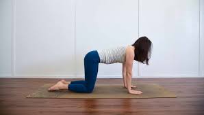 Morning yoga is something that is very energizing while being relaxing at the same time. Beginner Morning Yoga Routine Live Better