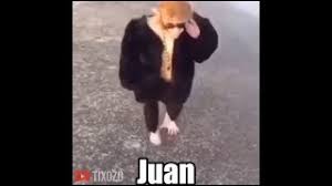 Monkeys With Drip 😳 - YouTube