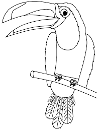 Us letter, 8,5 x 11 inch. Toucan On Branch Coloring Page Free Printable Coloring Pages For Kids