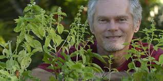 Ernst: A great garden idea, but someone had to ruin it