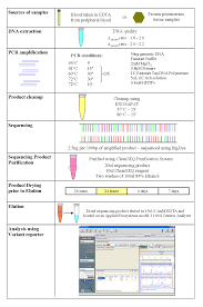 2 1 2 Pcr Flowchart Www Bedowntowndaytona Com