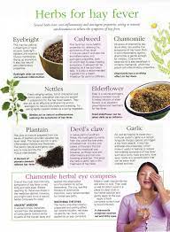 Herbs Herbs For Hay Fever Plantaardig Dieet Geneeskrachtige Kruiden Keukenkruiden
