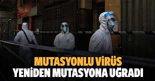 Edremit'in kızılkeçili mahallesinde havalimanında yapılan test sonucunda mutasyonlu korona virüsü taşıyıcısı. Yjk83mmrtxdtpm