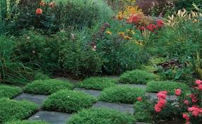 Check spelling or type a new query. Simplify Your Color Scheme Finegardening Fine Gardening Garden Landscape Design Palette Garden