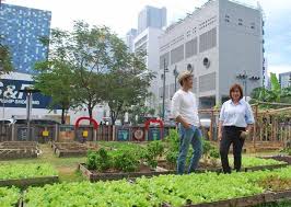 Green Spaces in the Concrete Jungle Spaces in theJungle