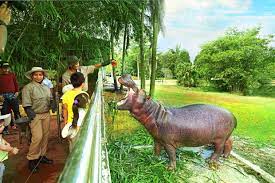 Such a great place to hangout. Coming Attractions Boost Gamuda Cove S Growing Vibrancy The Star