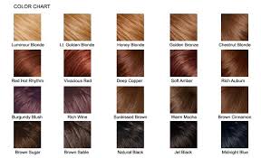 hair color chart google search hair pravana hair color