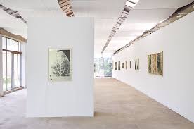 Bildergebnis für Ala D'Amico