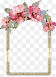 Image Result For Flower Frames Watercolor Flowers Free Watercolor Flowers Flower Png Images