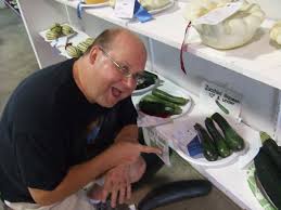 Why won't my zucchini get bigger. Burpee S Sure Thing Zucchini Review The Snarky Gardener