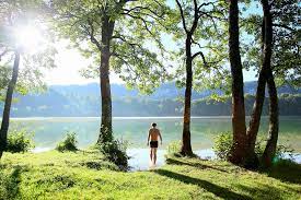 Pin On Wild Swimming