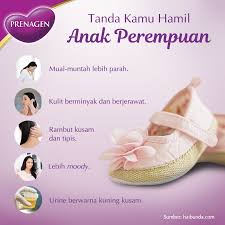 Yakni bulat dan juga elips atau bulat telur. Bentuk Perut Ibu Hamil Anak Perempuan Berbagi Bentuk Penting