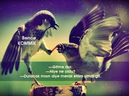 Komik Sozler Komik Mesajlar Komik Laflar Komik Kelimeler Komik Hal Sozleri Facebook Sozler Diyari 2020 Komik Sakalar Resimli Alintilar
