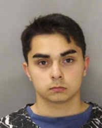 Mountain View teen charged with indecent exposure