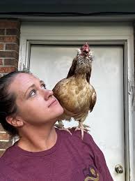 My favorite pullet and the smallest!