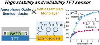 26 july 1999 advances in amorphous silicon uncooled ir systems. Development Of High Reliability And Stability Chemical Sensors Based On An Extended Gate Type Amorphous Oxide Semiconductor Thin Film Transistor Acs Applied Electronic Materials X Mol