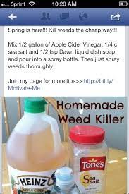 Pin On Healthy Alternatives