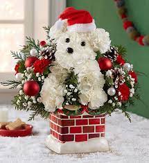 Santa Paws Christmas Floral Arrangements Christmas Flower Arrangements Christmas Floral