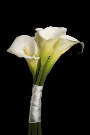 Calla Lilly Bouquet Want To Have A Sash Around Each One With White For Me And Whate Bridal Bouquet Calla Lillies Calla Lillies Bouquet Lilly Bouquet Wedding