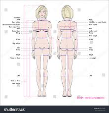 Prototypical Body Measurement Chart Sewing Human