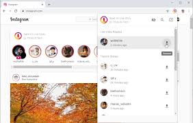 The popular video downloadhelper firefox extension is now available for chrome. How To Download Instagram Live Video In 2020