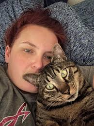 Hey y'all, my cat Rebel escaped from the Goose Creek Pet Hospital(across  the street from the Willamson County AgExpo) and we can't find him  anywhere. I'll post a picture down below, if