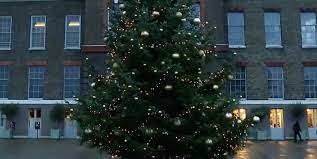 Kensington Palace Christmas 2022 Giant Kensington Palace Christmas Tree﻿ Outside Kate Middleton And Meghan  Markle's Home