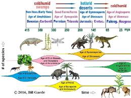 There are four extinct species of caddisflies: The Big Picture Major Categories Of Animals Became Extinct When The Download Scientific Diagram